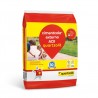 ARGAMASSA QUARTZOLIT 20 ACII EXTERNA